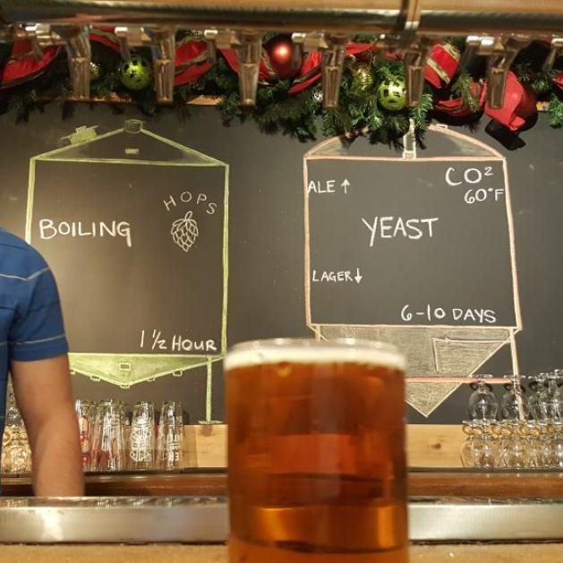 Craft brewery tour in Central Arkansas