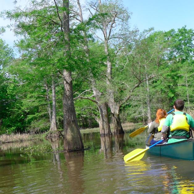 Bayou Bartholomew Water Trail