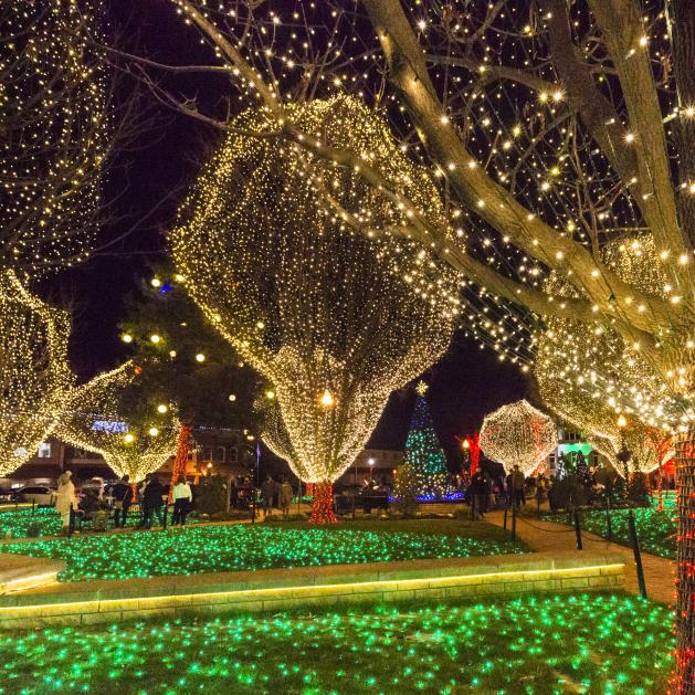 Holiday Lights