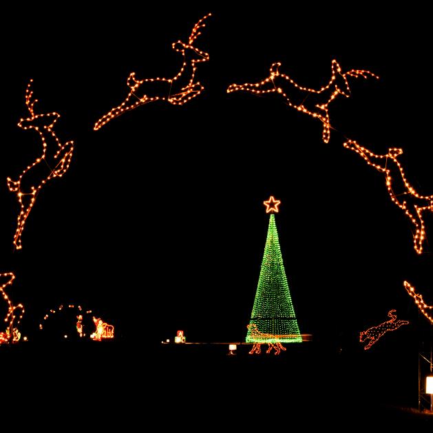Kick off the holiday season at Pine Bluff's Enchanted Land of Lights and Legends.