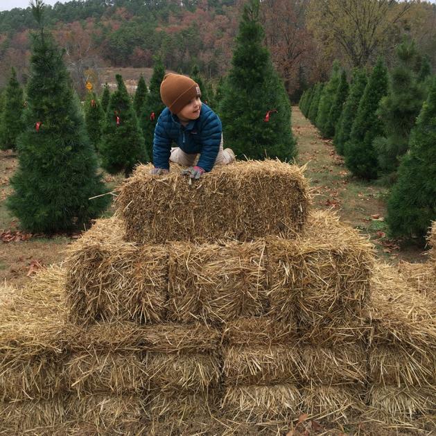 Johnson Family Christmas Tree Farm