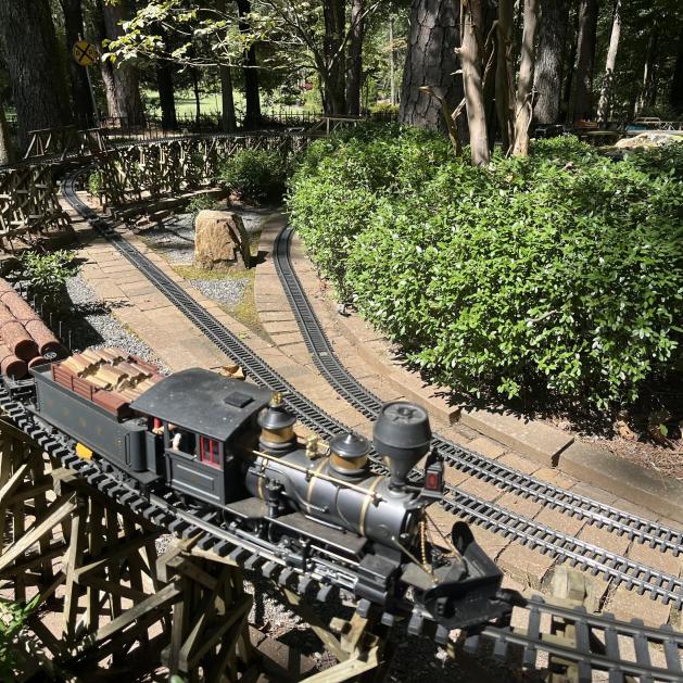 The Garvan Gardens Trains.