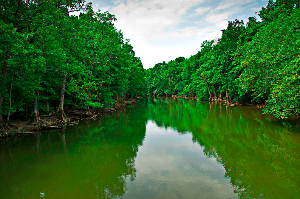 Bayou DeView Water Trail